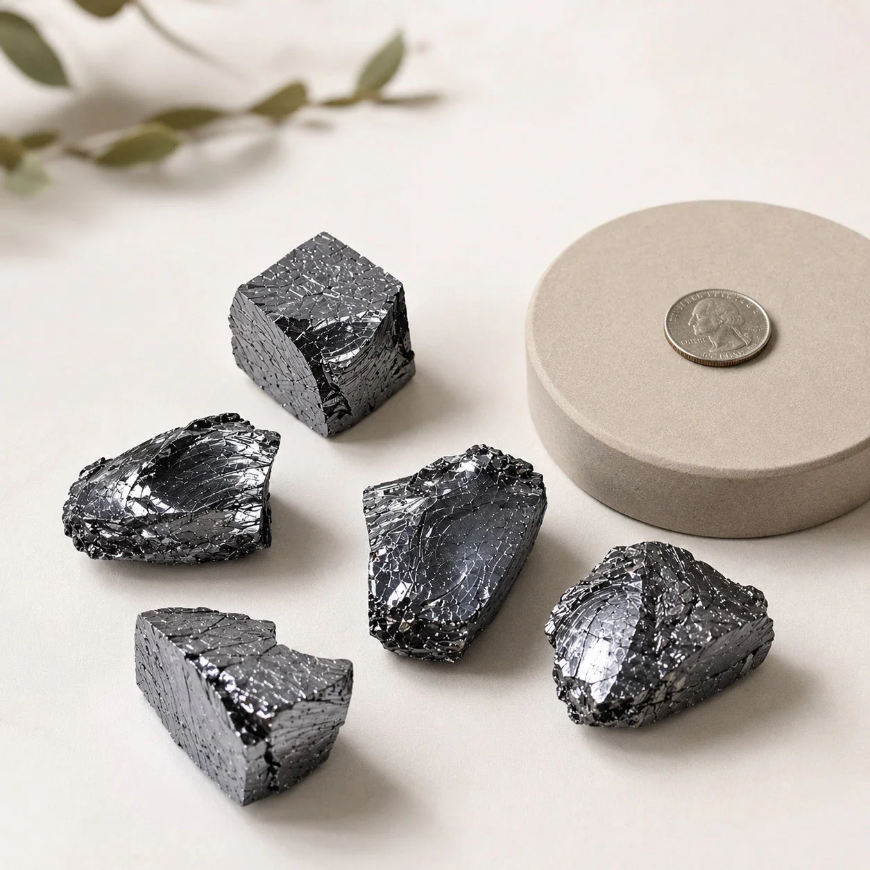 Noble Elite Shungite Stone 98% Carbon (Set of 5) - Image 4